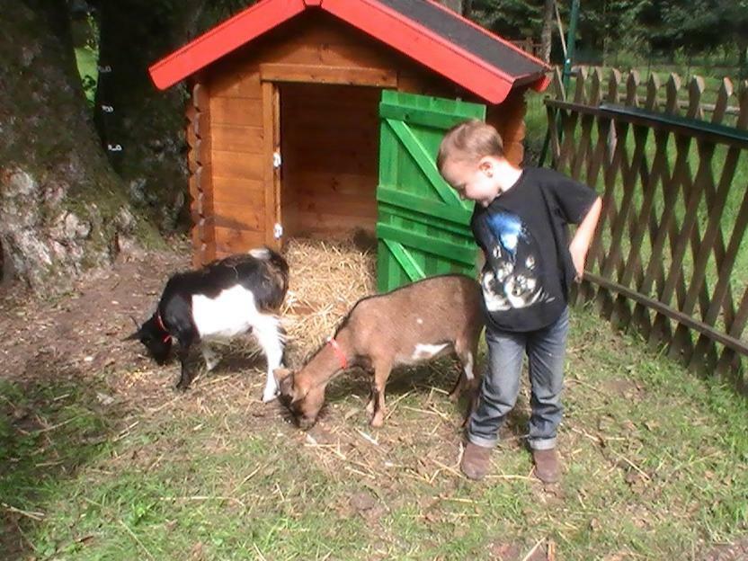 Gite De La Baerenbach Haselbourg Luaran gambar