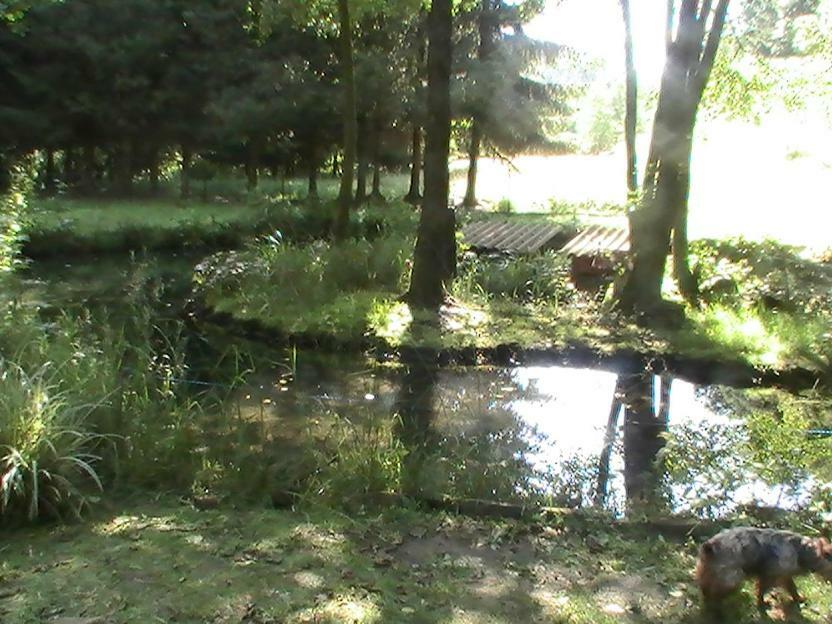 Gite De La Baerenbach Haselbourg Luaran gambar