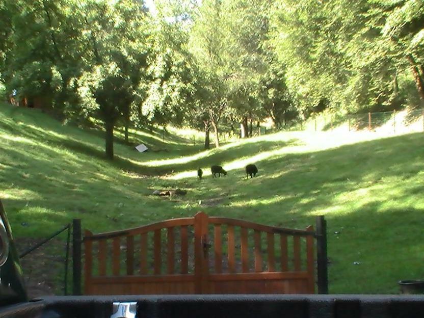 Gite De La Baerenbach Haselbourg Luaran gambar